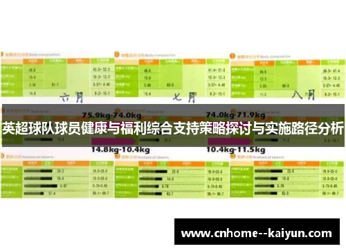 英超球队球员健康与福利综合支持策略探讨与实施路径分析