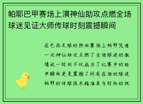帕耶巴甲赛场上演神仙助攻点燃全场球迷见证大师传球时刻震撼瞬间 帕耶巴甲赛场上演神仙助攻点燃全场球迷见证大师传球时刻震撼瞬间